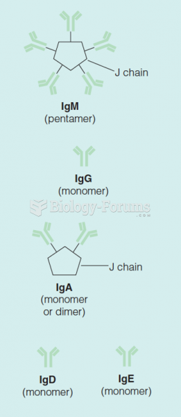 Immunoglobulin Structure