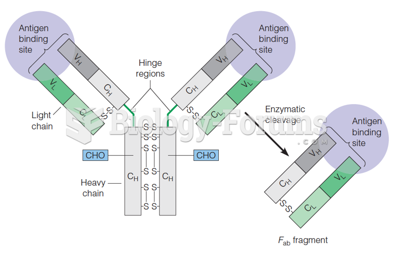 Schematic models of an IgG antibody molecule and an Fab fragment