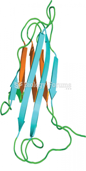 The immunoglobulin fold