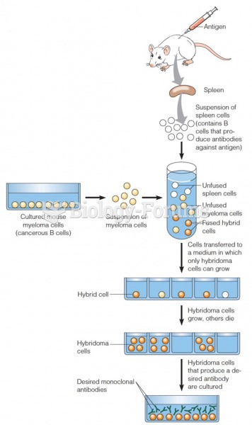 Production of monoclonal antibodies