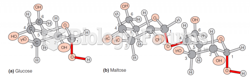 Representative carbohydrates: Glucose and Maltose
