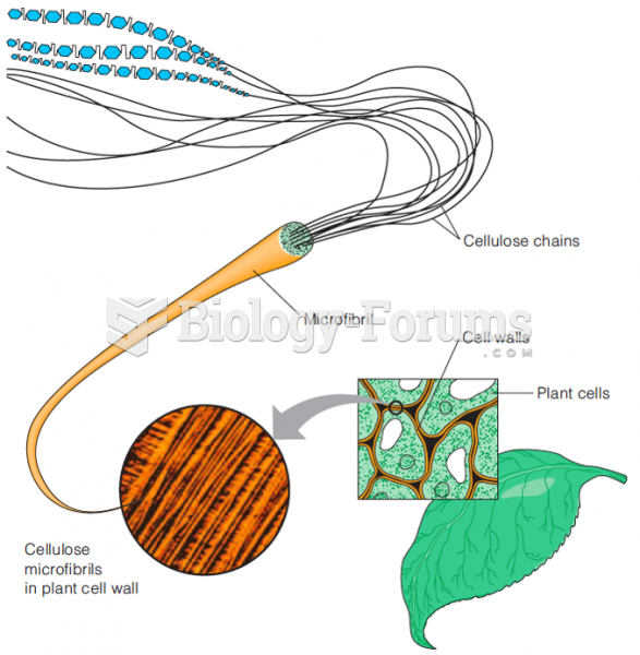 Organization of plant cell walls