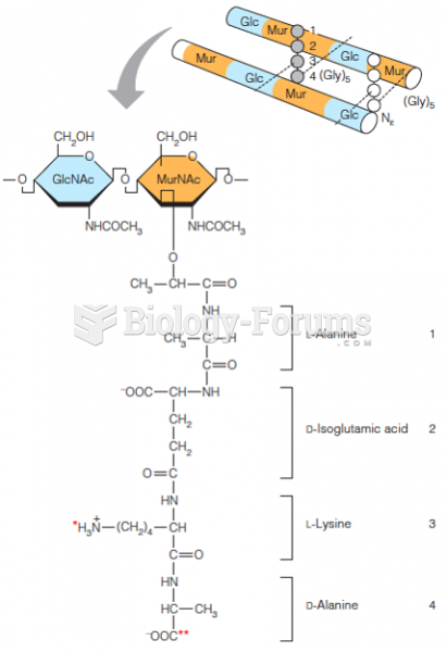 The peptidoglycan layer of Gram-positive bacteria