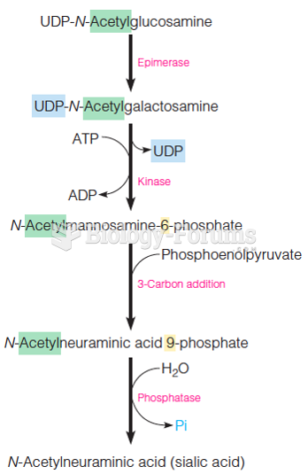Biosynthesis of N-acetylneuraminic acid (sialic acid) from UDP-N-acetylglucosamine