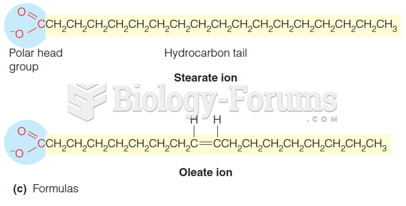 Structures of the ionized forms of some representative fatty acids (part 1)