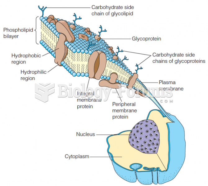 Structure of a typical cell membrane