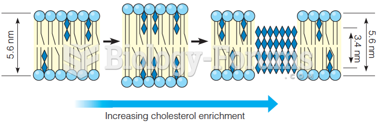 A schematic model of the effects of cholesterol on synthetic membrane structure