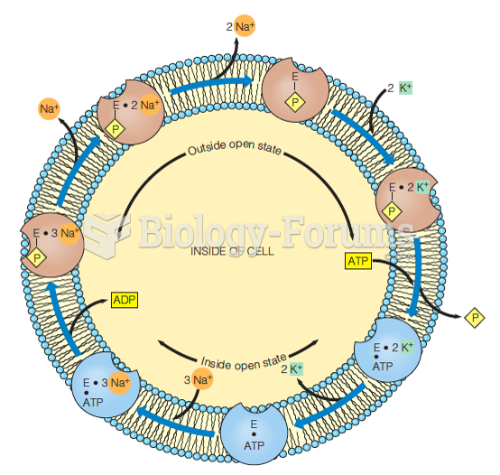 A schematic diagram of the functional cycle of the Na+–K+ pump