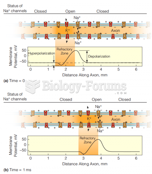 Transmission of the action potential