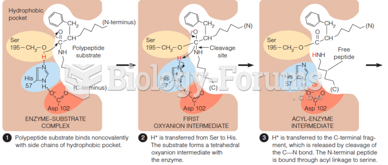 Catalysis of peptide bond hydrolysis by chymotrypsin (part 1)