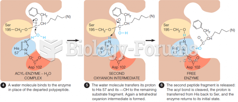 Catalysis of peptide bond hydrolysis by chymotrypsin  (part 2)
