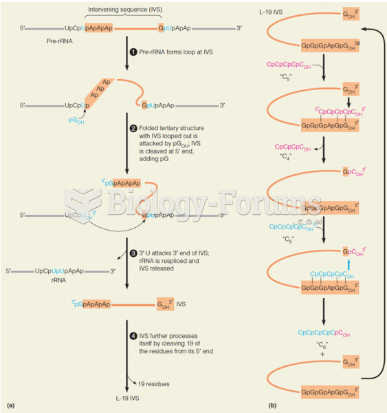 Catalysis by the intervening sequence in Tetrahymena preribosomal RNA
