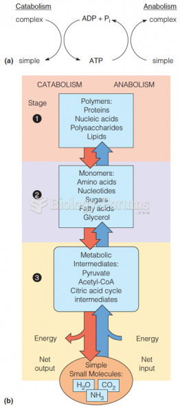 A brief overview of metabolism