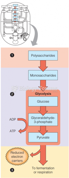 The initial phase of carbohydrate catabolism: glycolysis