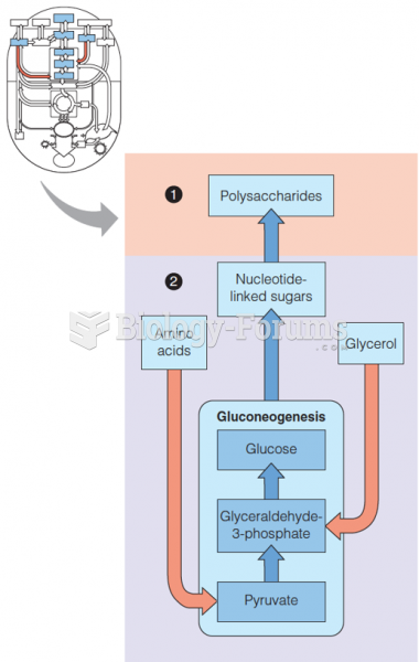 Carbohydrate anabolism