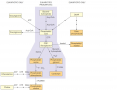 Pathways in glycerophospholipid biosynthesis