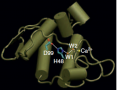 Structure of phospholipase A2