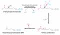 Stage 2: Synthesis of Squalene from Mevalonate