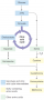 Outline of pathways for cysteine and methionine synthesis