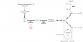 Enzymatic abnormalities in three types of gout