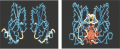 Structures of (a) free and (b) DNA-bound forms of BamHI, with DNA shown end-on, in orange