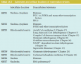 Hormonal Regulation of Fuel Metabolism