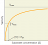 Reaction velocity as a function of substrate concentration