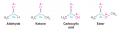 Carbonyl groups reaction type