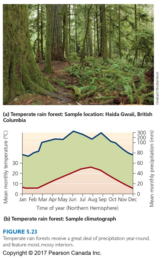 Temperate rain forest "الغابات المطيرة المعتدلة"