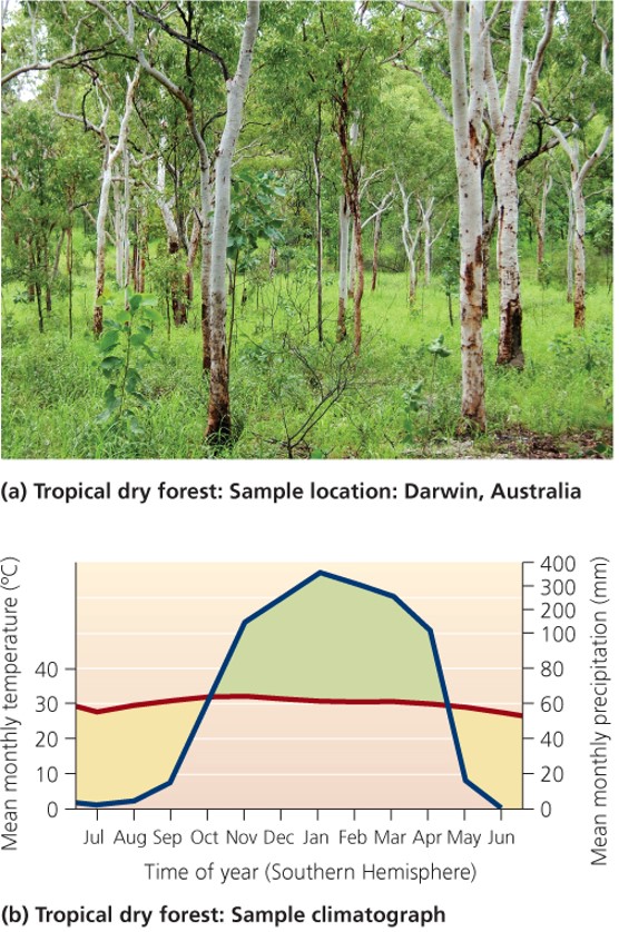 Tropical dry forest "غابة استوائية جافة"