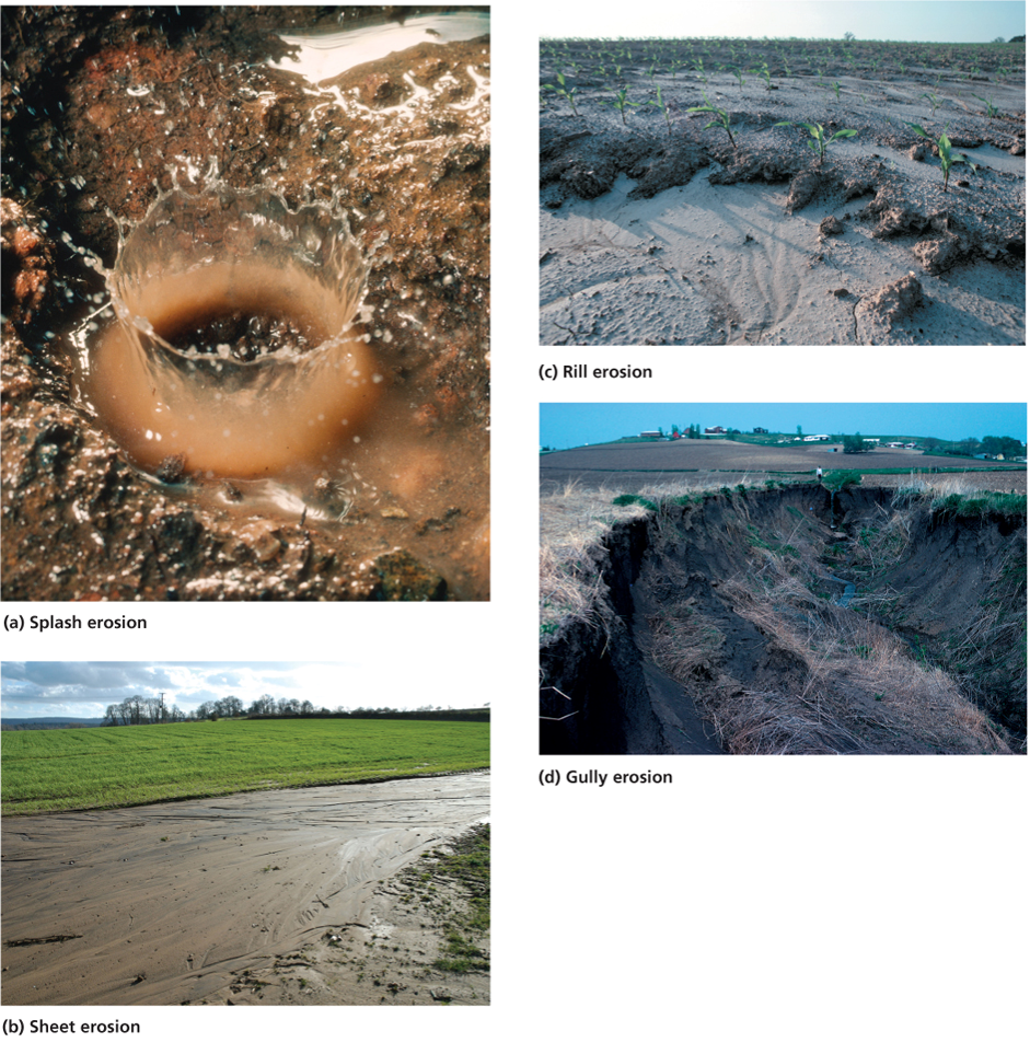 Several Mechanisms of Erosion