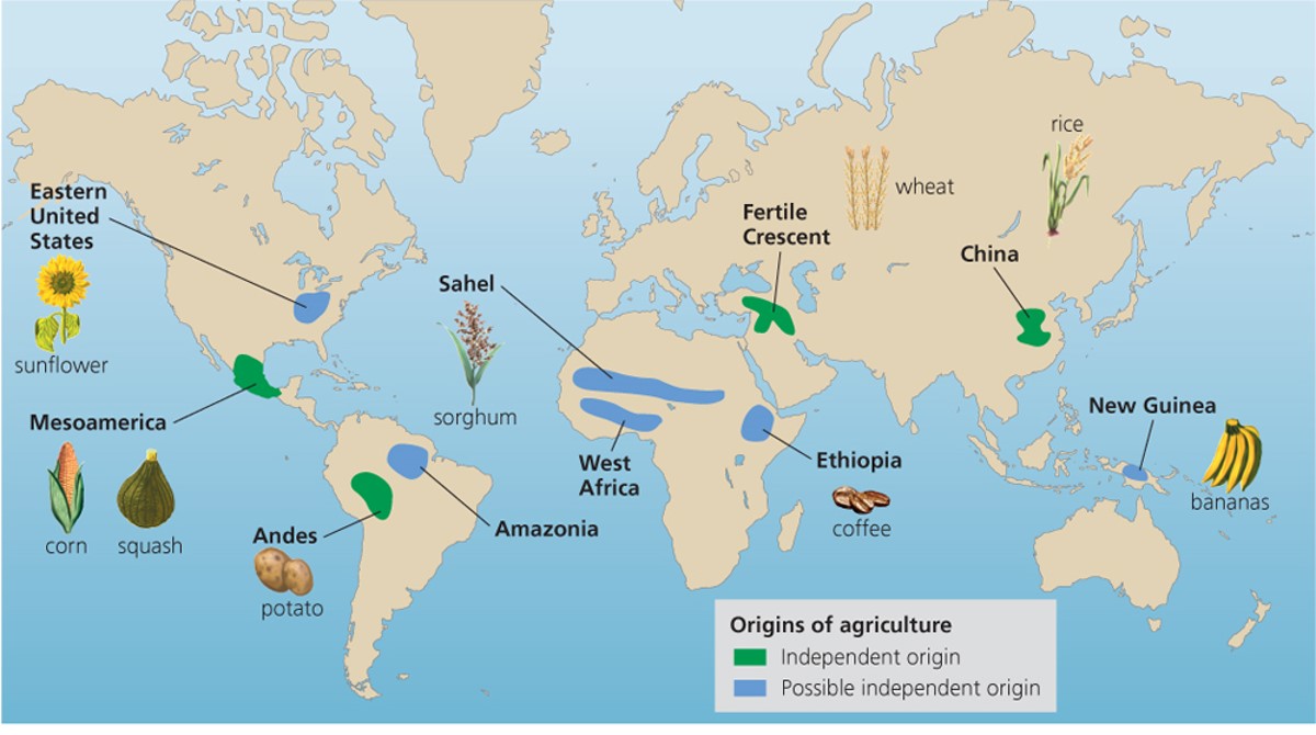 Agriculture in 10,000 years ago