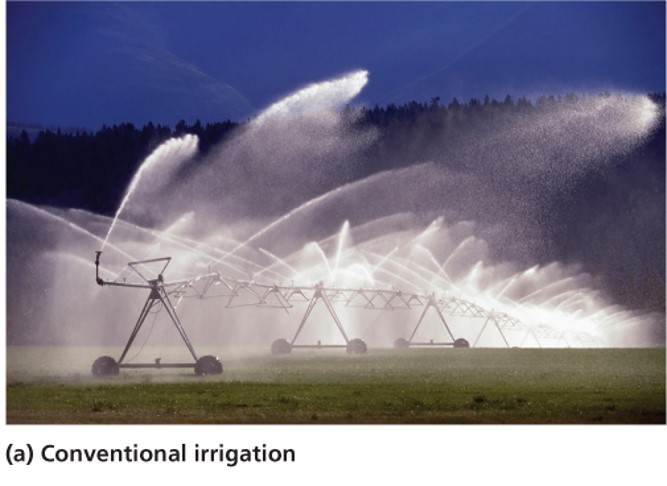 The Green Revolution and Conventional Irrigation