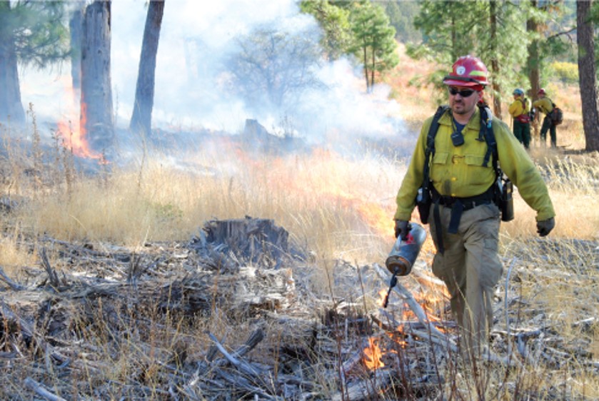 The Nature of Environmental Science: A fireman battles with a forest fire