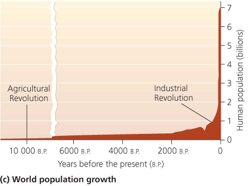 World Population Growth