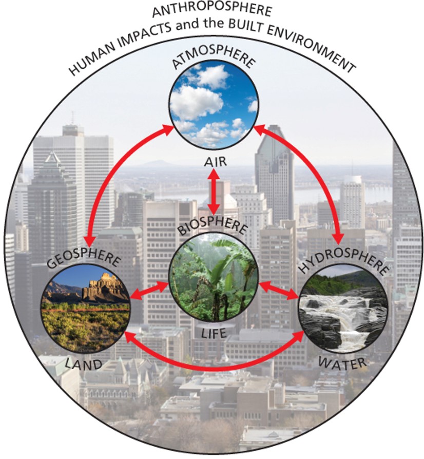 Human impacts and the built environment