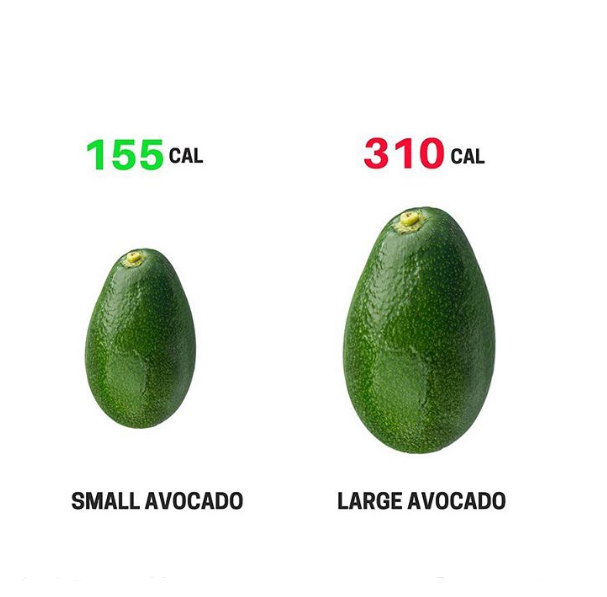 Small Avocado vs Large Avocado