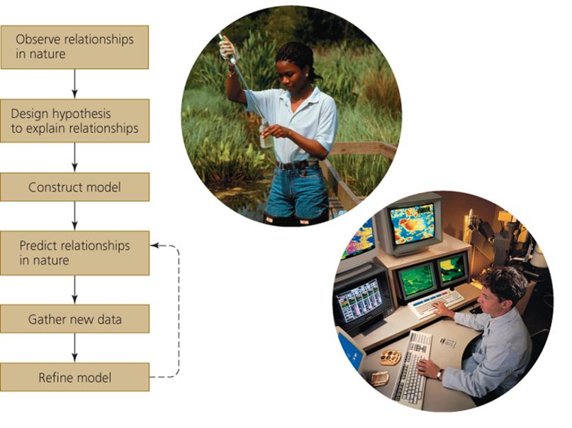 Model of a complex systems