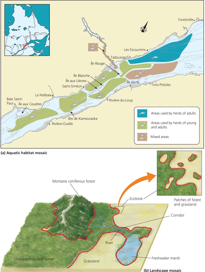 Landscape ecologists study broad geographical patterns