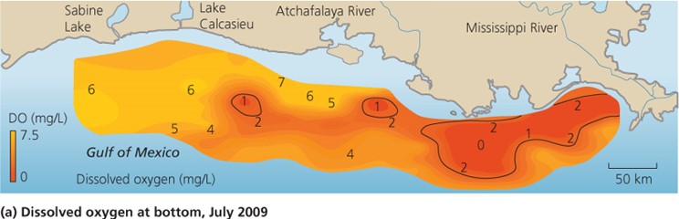 Dissolved oxygen at The Gulf of Mexico’s “Dead Zone”