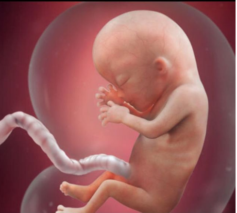 Feeding a Baby inside the Womb