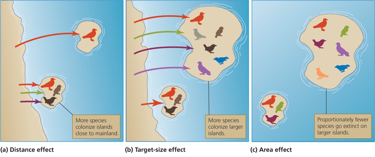 Island biogeography and habitat fragmentation