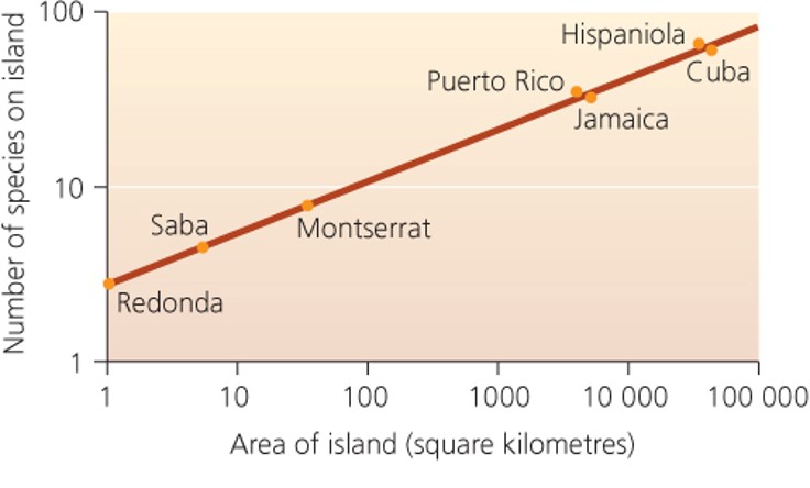 Species-area curves