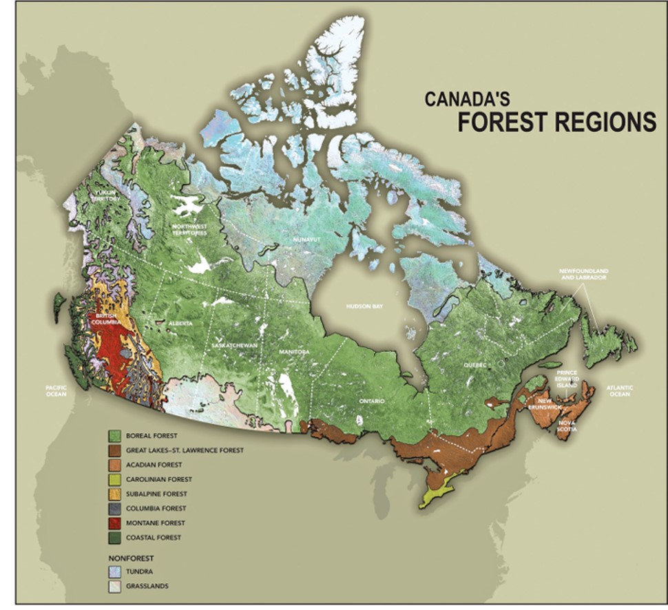 Canada's forest regions