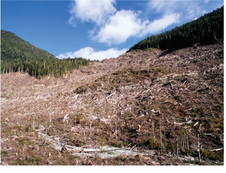 Harvesting of Timber