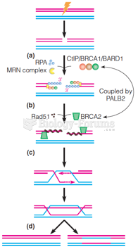 A pathway for homologous recombination to repair DNA double-strand breaks