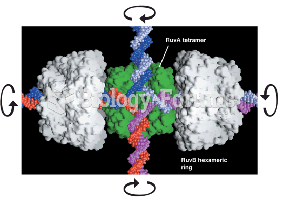 A model for the RuvA-RuvB-Holliday junction structure