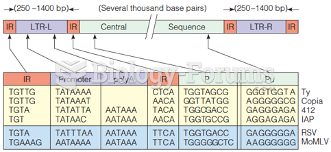 Common sequence features in integrated retroviruses and other eukaryotic transposable elements