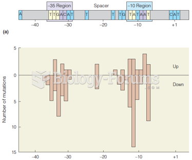 Survey of conserved nucleotides in E. coli promoters