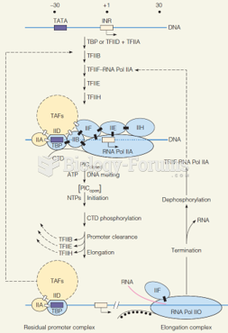 A model for formation of a minimal preinitiation complex (PIC) for pol II on a TATA promoter